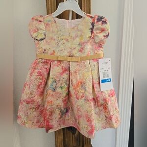 Rare Editions Toddler Dress 24M – Pink & Gold Floral Party Dress (NWT)